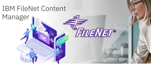 FileNet Domain Architect